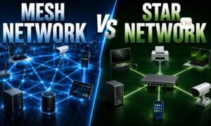 Mesh Network vs Star Network Which Topology Fits Your Connectivity Needs