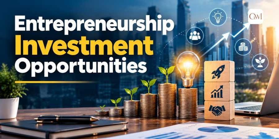 Entrepreneurship Investment Opportunities